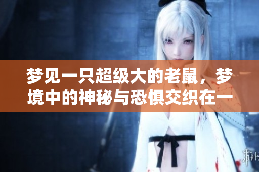 梦见一只超级大的老鼠，梦境中的神秘与恐惧交织在一起