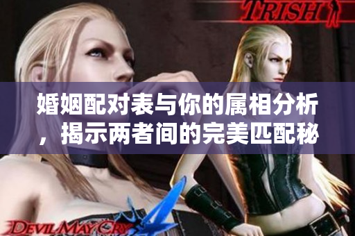 婚姻配对表与你的属相分析，揭示两者间的完美匹配秘诀