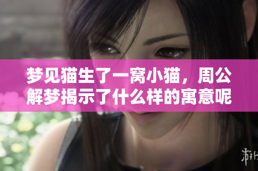 梦见猫生了一窝小猫，周公解梦揭示了什么样的寓意呢
