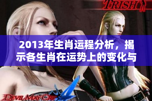 2013年生肖运程分析，揭示各生肖在运势上的变化与发展
