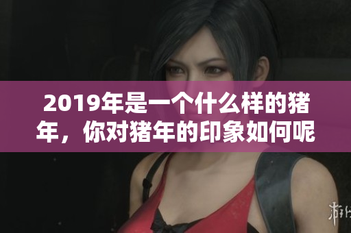 2019年是一个什么样的猪年，你对猪年的印象如何呢
