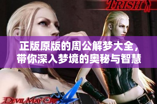 正版原版的周公解梦大全，带你深入梦境的奥秘与智慧
