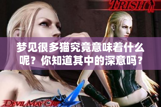 梦见很多猫究竟意味着什么呢？你知道其中的深意吗？