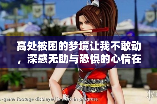 高处被困的梦境让我不敢动，深感无助与恐惧的心情在心中蔓延。