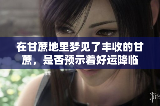 在甘蔗地里梦见了丰收的甘蔗，是否预示着好运降临
