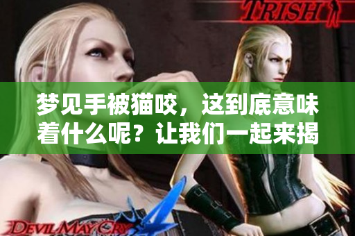 梦见手被猫咬，这到底意味着什么呢？让我们一起来揭开其中的奥秘。