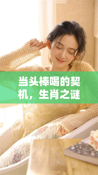 当头棒喝的契机，生肖之谜在此揭晓