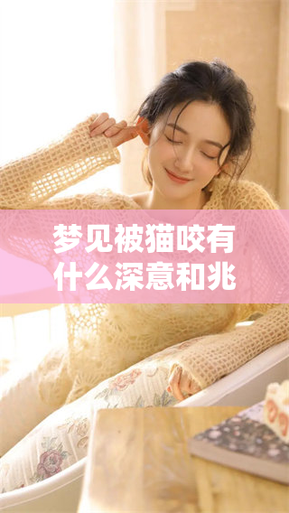 梦见被猫咬有什么深意和兆头吗 了解其背后的真正含义