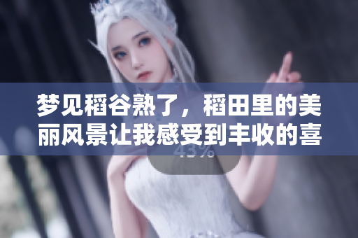 梦见稻谷熟了，稻田里的美丽风景让我感受到丰收的喜悦