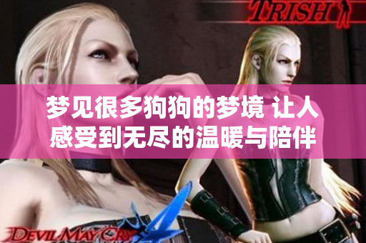 梦见很多狗狗的梦境 让人感受到无尽的温暖与陪伴