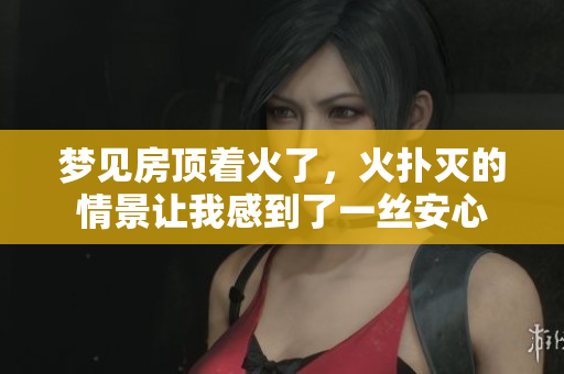 梦见房顶着火了，火扑灭的情景让我感到了一丝安心