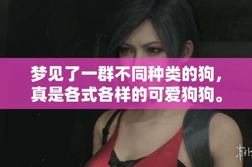 梦见了一群不同种类的狗，真是各式各样的可爱狗狗。
