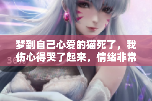 梦到自己心爱的猫死了，我伤心得哭了起来，情绪非常低落