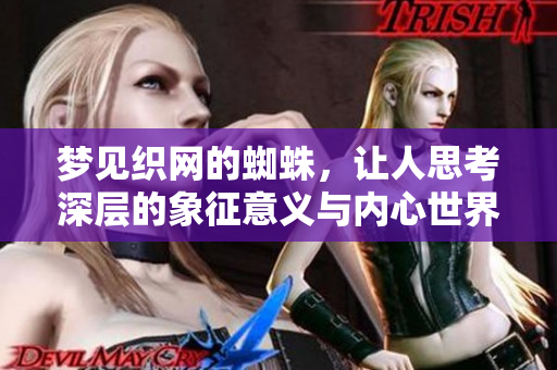 梦见织网的蜘蛛，让人思考深层的象征意义与内心世界