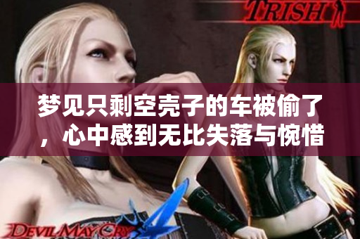 梦见只剩空壳子的车被偷了，心中感到无比失落与惋惜