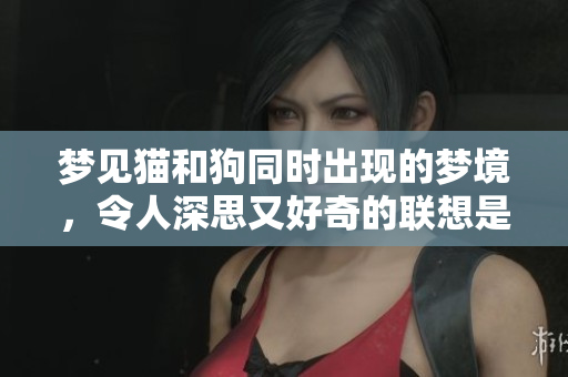 梦见猫和狗同时出现的梦境，令人深思又好奇的联想是什么呢