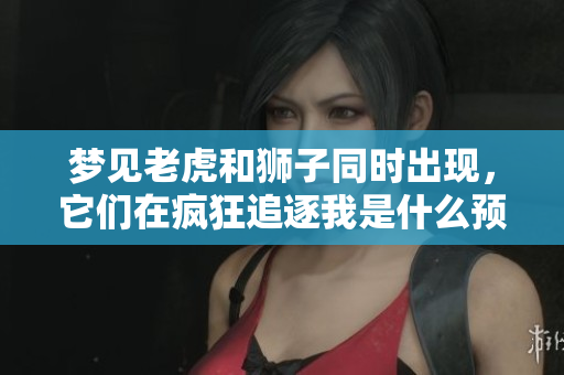 梦见老虎和狮子同时出现，它们在疯狂追逐我是什么预兆呢