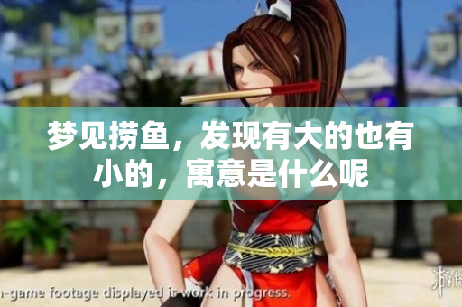梦见捞鱼，发现有大的也有小的，寓意是什么呢