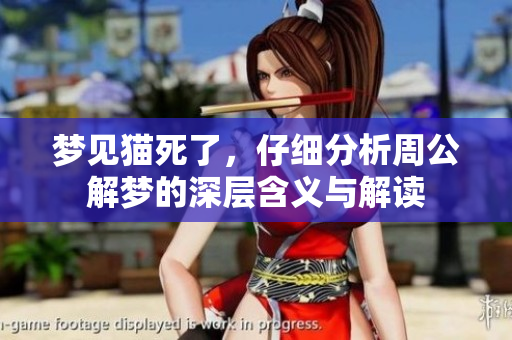 梦见猫死了，仔细分析周公解梦的深层含义与解读