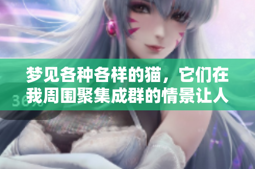 梦见各种各样的猫，它们在我周围聚集成群的情景让人难忘