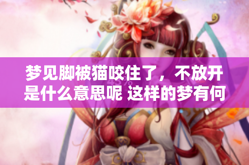 梦见脚被猫咬住了，不放开是什么意思呢 这样的梦有何寓意
