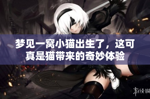 梦见一窝小猫出生了，这可真是猫带来的奇妙体验