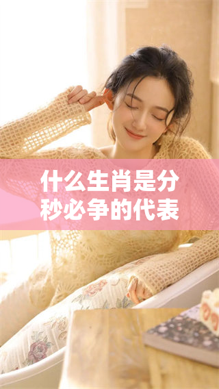 什么生肖是分秒必争的代表，探索其背后的意义与特点
