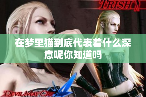在梦里猫到底代表着什么深意呢你知道吗