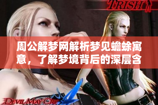 周公解梦网解析梦见蟾蜍寓意，了解梦境背后的深层含义