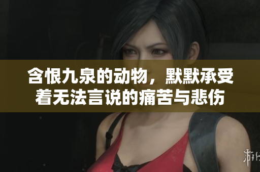 含恨九泉的动物，默默承受着无法言说的痛苦与悲伤