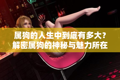 属狗的人生中到底有多大？解密属狗的神秘与魅力所在