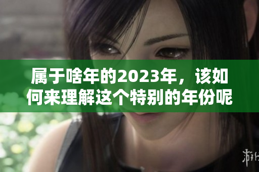 属于啥年的2023年，该如何来理解这个特别的年份呢