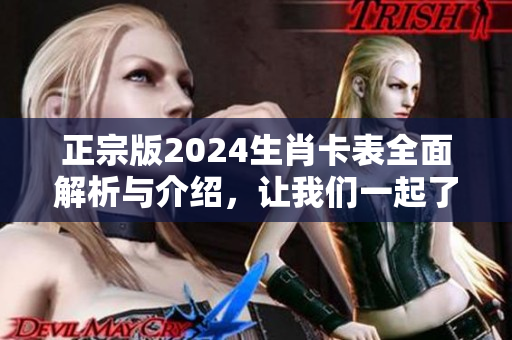 正宗版2024生肖卡表全面解析与介绍，让我们一起了解它的详细信息