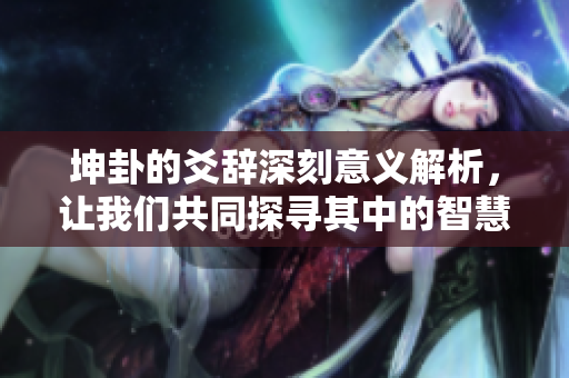 坤卦的爻辞深刻意义解析，让我们共同探寻其中的智慧与启示