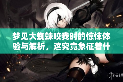 梦见大蜘蛛咬我时的惊悚体验与解析，这究竟象征着什么呢