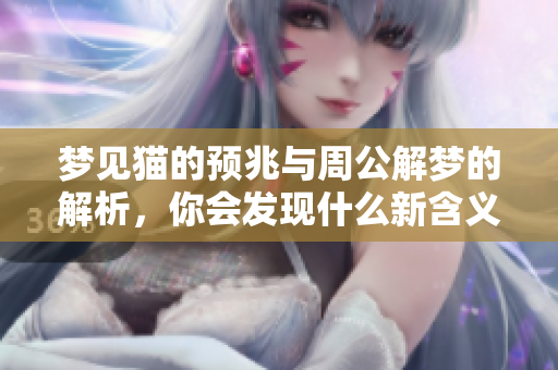 梦见猫的预兆与周公解梦的解析，你会发现什么新含义呢
