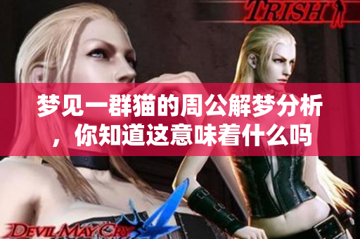 梦见一群猫的周公解梦分析，你知道这意味着什么吗