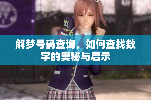 解梦号码查询，如何查找数字的奥秘与启示
