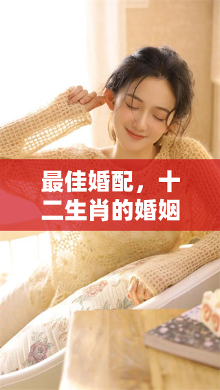 最佳婚配，十二生肖的婚姻选择解析与推荐