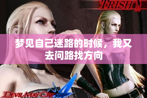 梦见自己迷路的时候，我又去问路找方向
