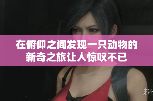 在俯仰之间发现一只动物的新奇之旅让人惊叹不已
