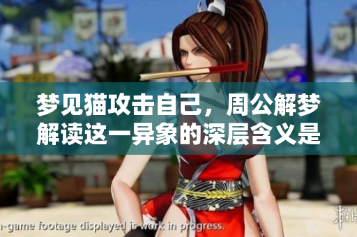 梦见猫攻击自己，周公解梦解读这一异象的深层含义是什么呢