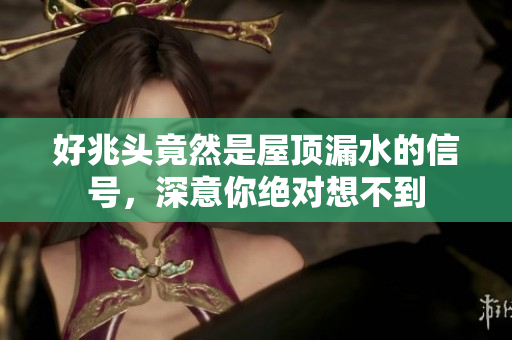 好兆头竟然是屋顶漏水的信号，深意你绝对想不到