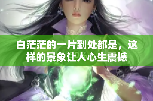 白茫茫的一片到处都是，这样的景象让人心生震撼