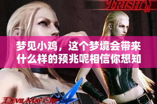 梦见小鸡，这个梦境会带来什么样的预兆呢相信你想知道。
