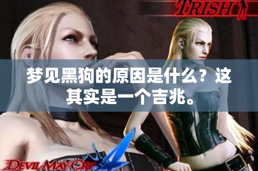 梦见黑狗的原因是什么？这其实是一个吉兆。