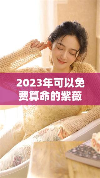 2023年可以免费算命的紫薇命盘是什么样的？来看看吧！