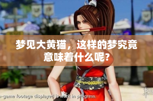 梦见大黄猫，这样的梦究竟意味着什么呢？