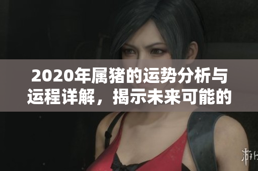 2020年属猪的运势分析与运程详解，揭示未来可能的发展方向