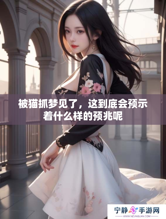 被猫抓梦见了，这到底会预示着什么样的预兆呢